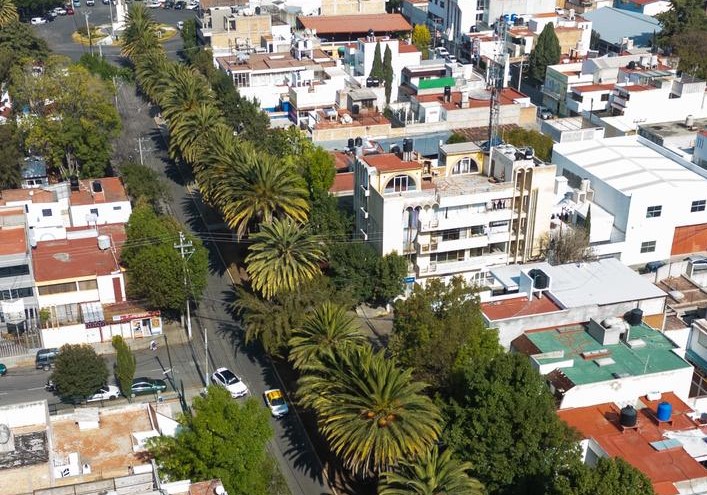 WhatsApp Image 2026-01-19 at 15.37.04