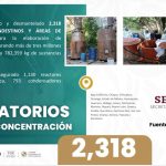 WhatsApp Image 2026-03-10 at 15.11.17