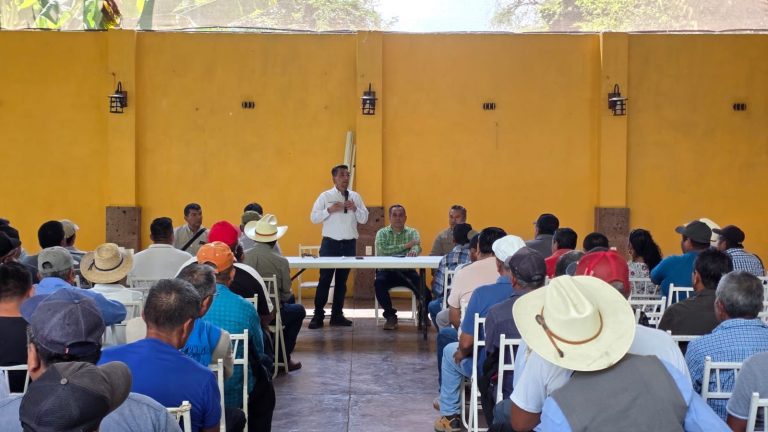 WhatsApp Image 2026-03-25 at 14.04.50