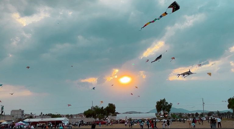 WhatsApp Image 2026-04-01 at 19.24.54