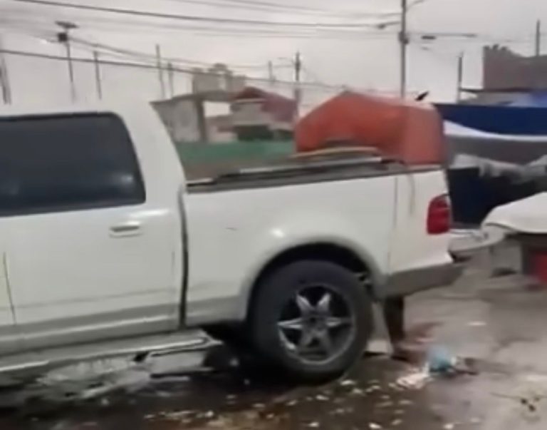 WhatsApp Image 2026-04-10 at 16.46.19