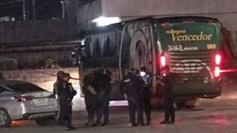 WhatsApp Image 2026-04-14 at 15.36.51