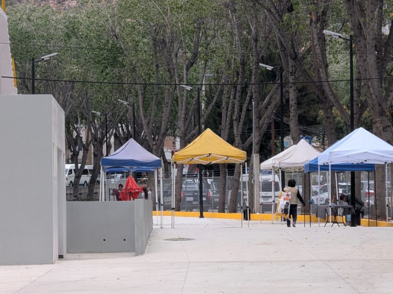 WhatsApp Image 2026-04-16 at 21.14.27