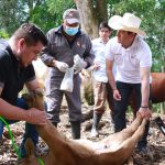 WhatsApp Image 2026-04-19 at 18.34.03