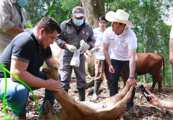 WhatsApp Image 2026-04-19 at 18.34.03