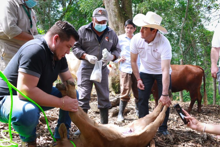 WhatsApp Image 2026-04-19 at 18.34.03